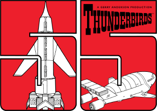 THUNDERBIRDS 55TH logo